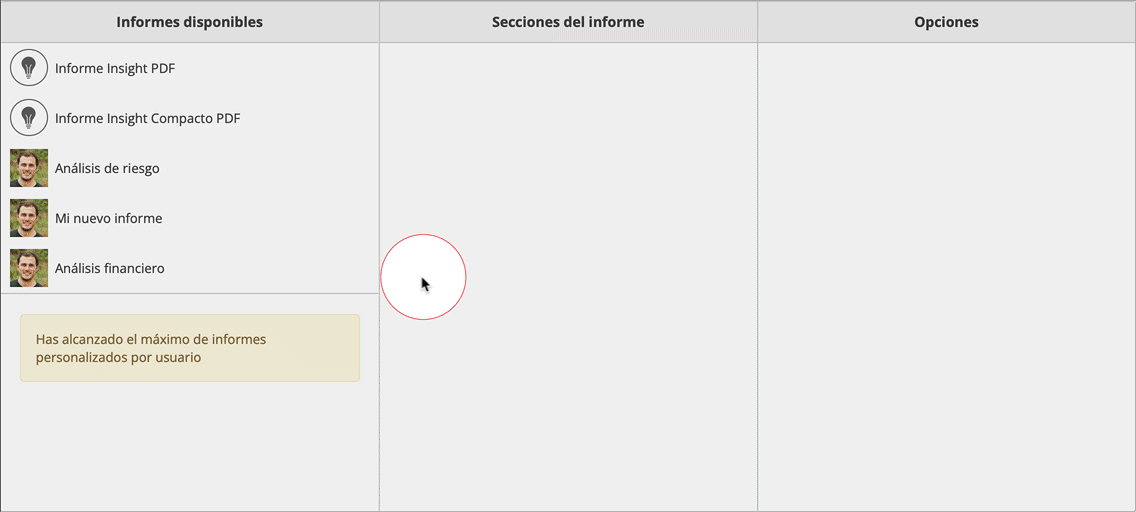 EditReport.gif